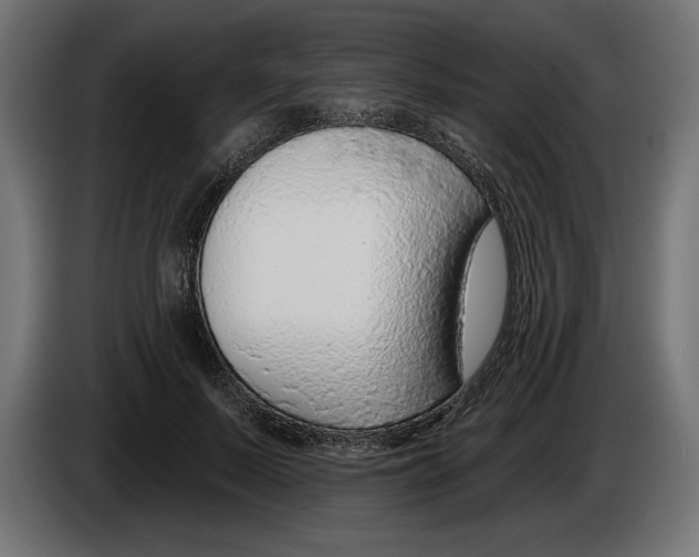 X0000083070695200703022157