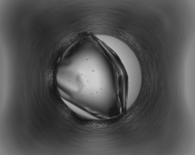 X0000083070697200703022157