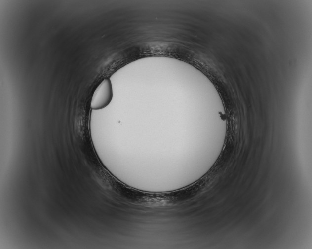 X0000083070698200703022157