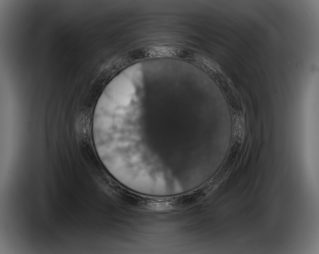 X0000083070701200703022157