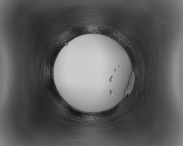 X0000083070702200703022157