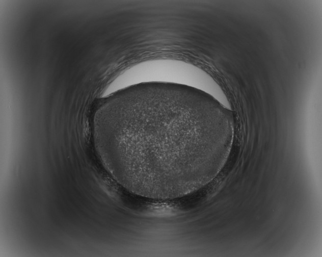 X0000083070704200703022157