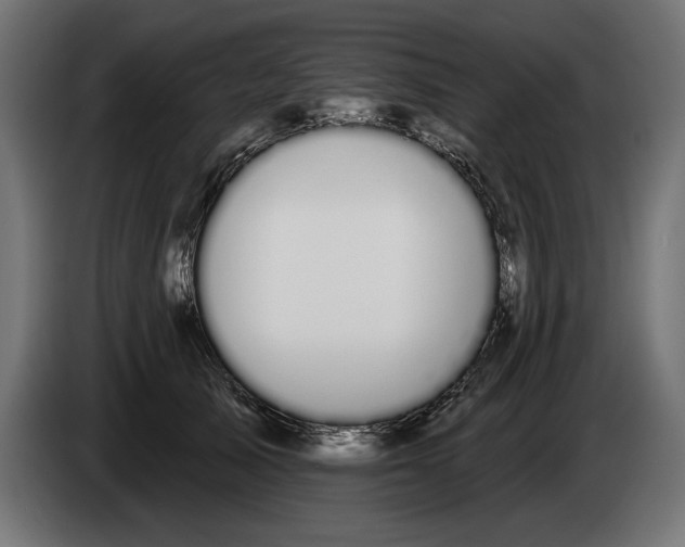 X0000083070705200703022156