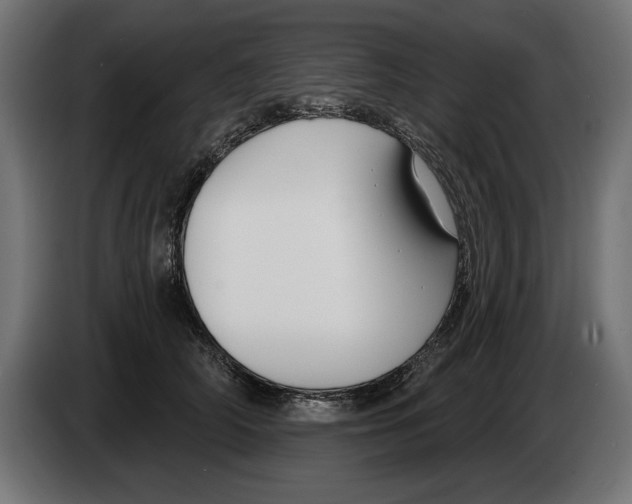 X0000083070706200703022156