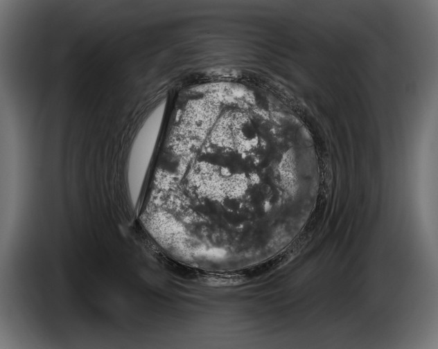 X0000083070707200703022156