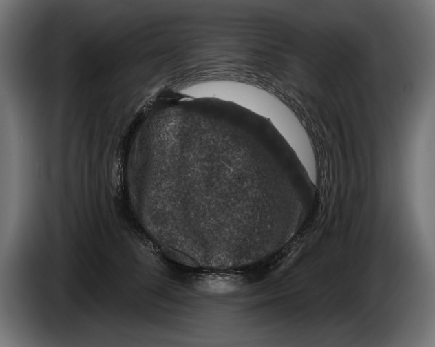 X0000083070708200703022156