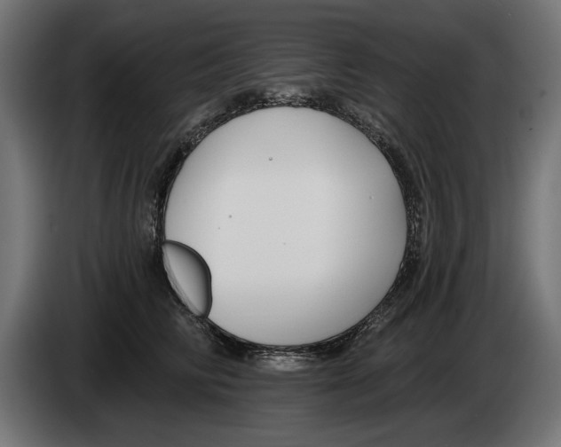 X0000083070710200703022156