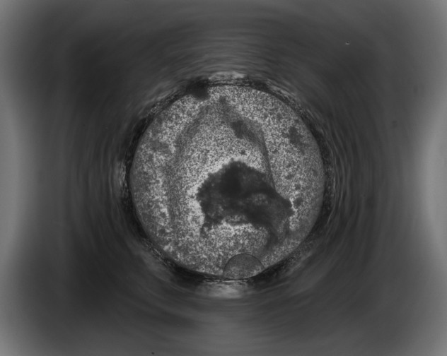 X0000083070711200703022156