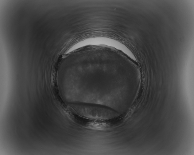 X0000083070712200703022156