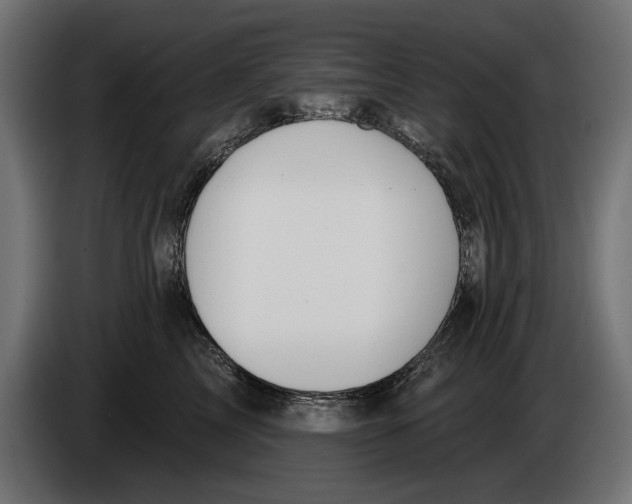 X0000083070713200703022156