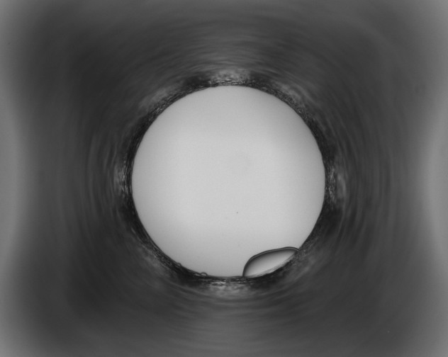 X0000083070714200703022156