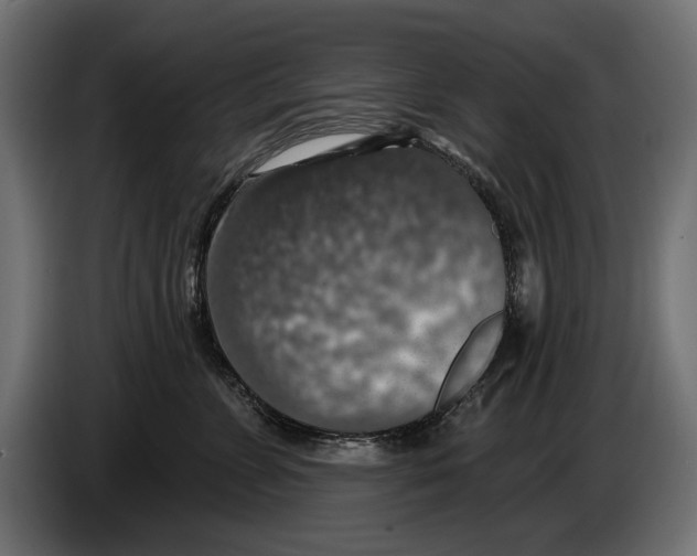 X0000083070715200703022156