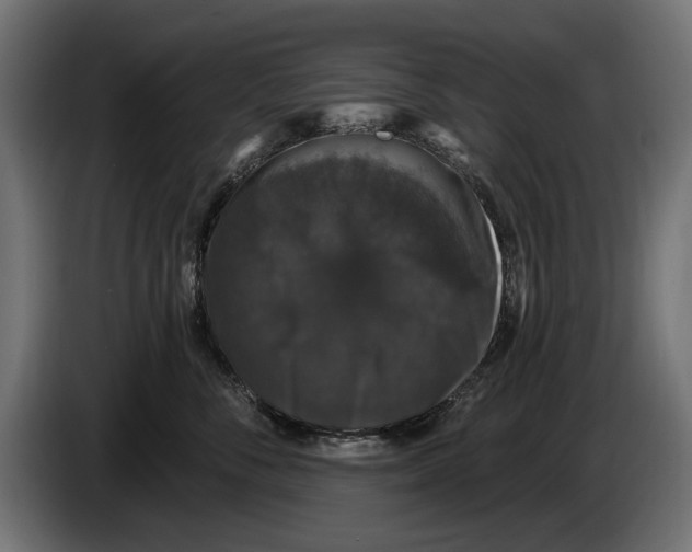 X0000083070716200703022156