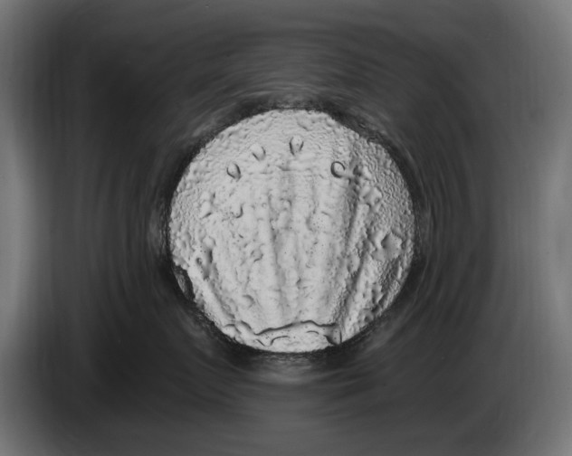 X0000083070719200703022156