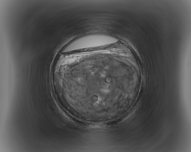 X0000083070721200703022156