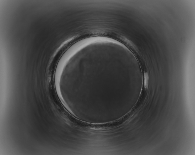 X0000083070723200703022156