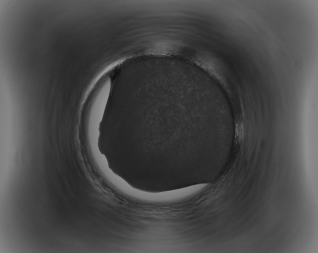 X0000083070724200703022156