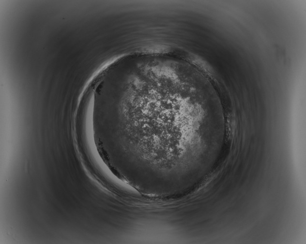 X0000083070726200703022156