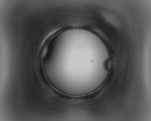 X0000083070727200703022156