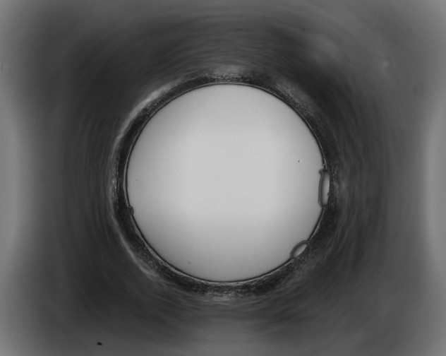 X0000083070728200703022156