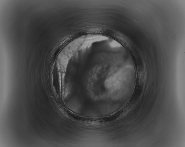 X0000083070729200703022156