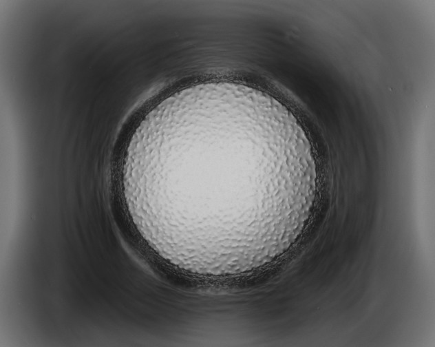 X0000083070730200703022156