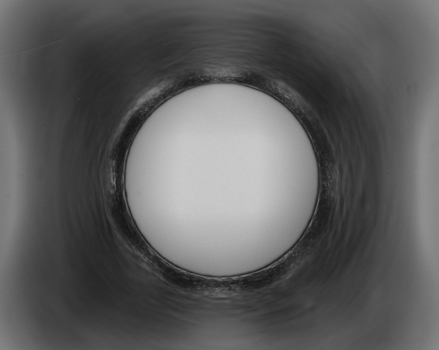 X0000083070731200703022156