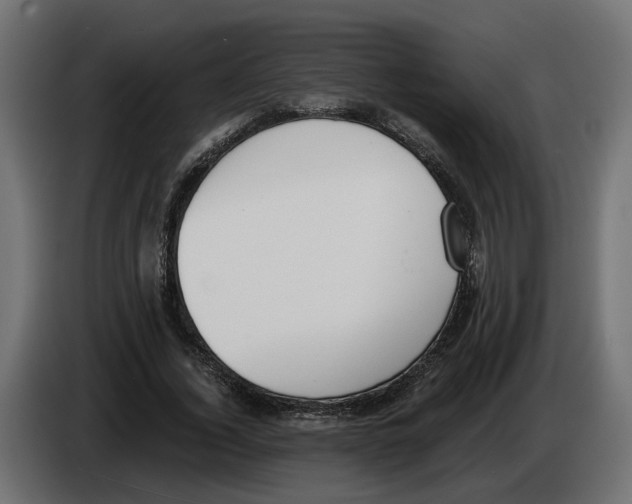 X0000083070732200703022156