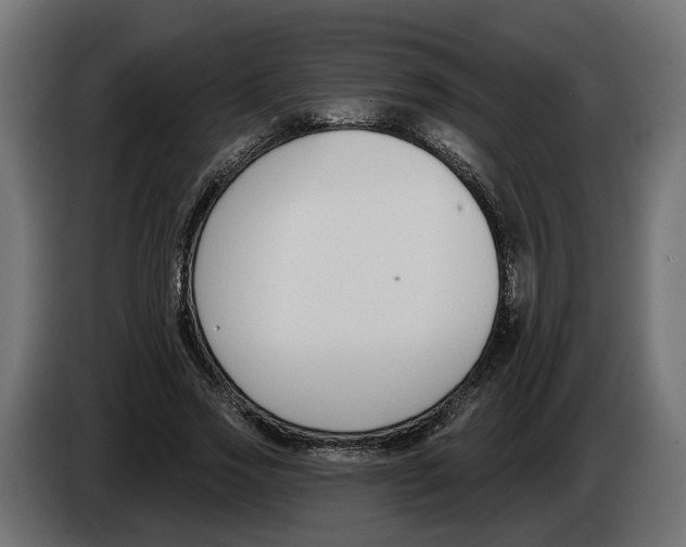 X0000083070733200703022156