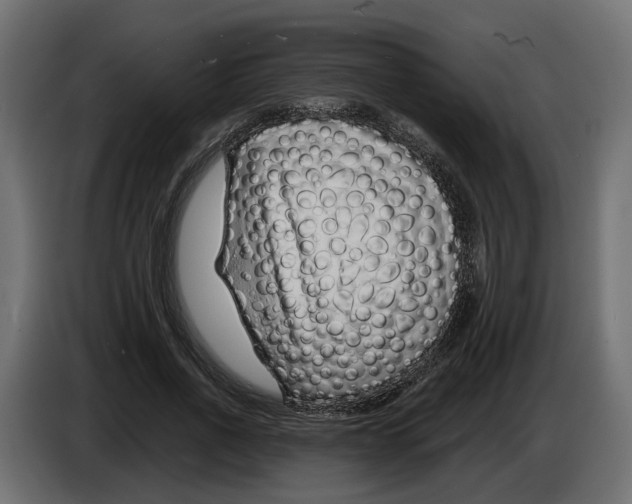 X0000083070734200703022156