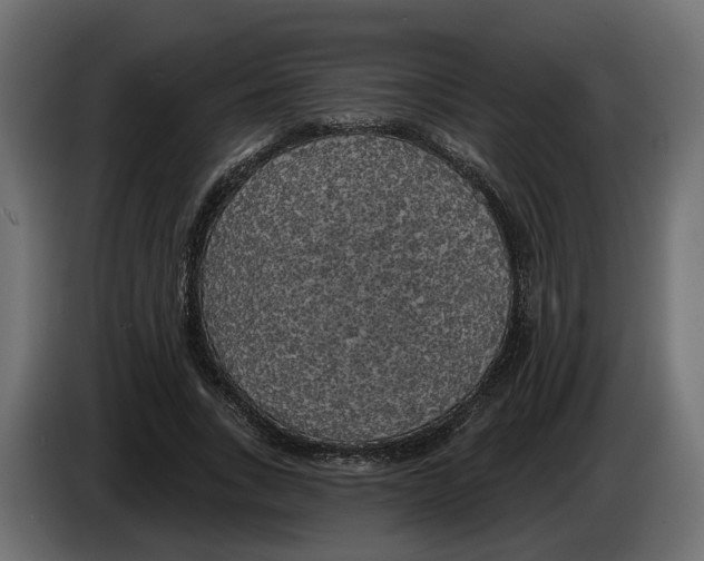 X0000083070735200703022156