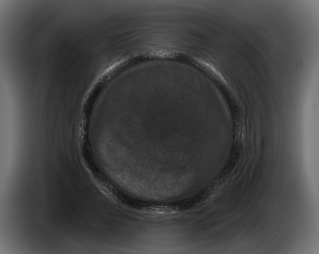 X0000083070736200703022156