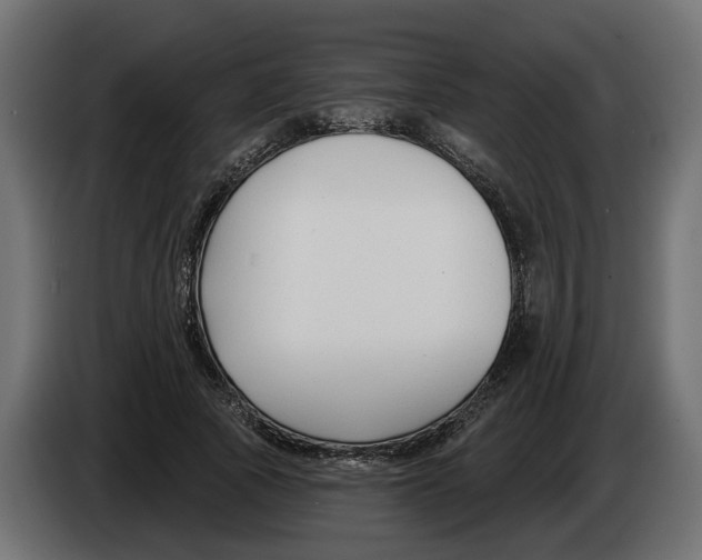 X0000083070737200703022156