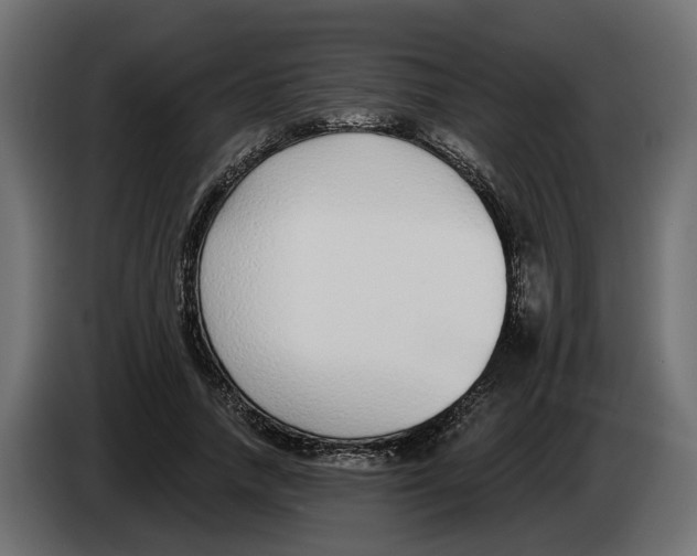 X0000083070738200703022156