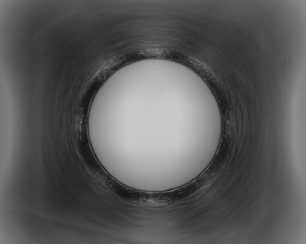 X0000083070739200703022156