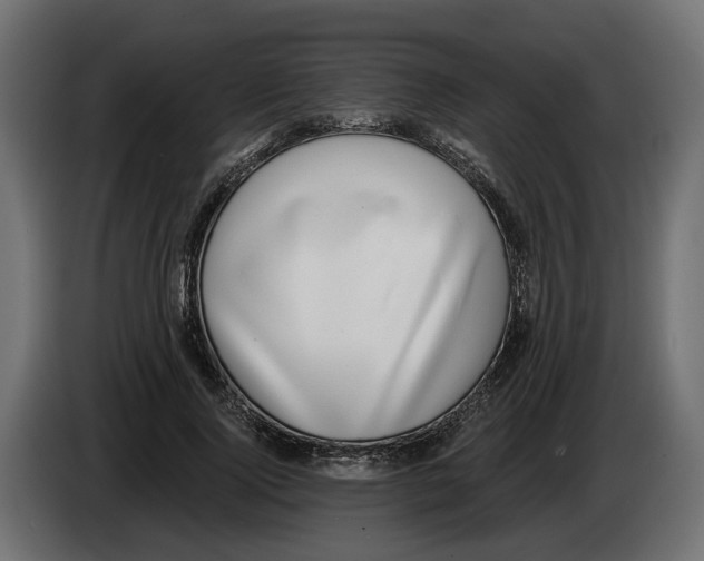 X0000083070740200703022156