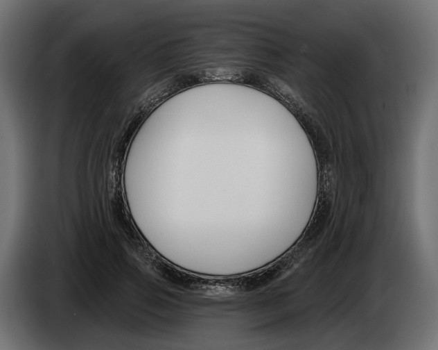 X0000083070741200703022156