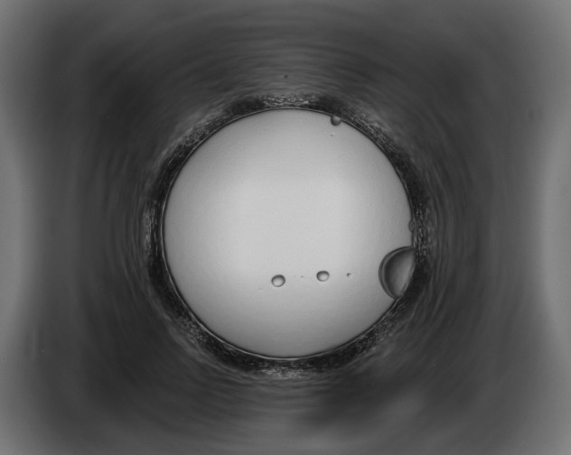 X0000083070742200703022156