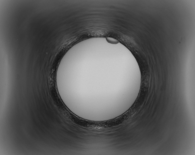 X0000083070743200703022156