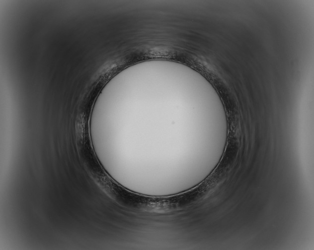 X0000083070744200703022156