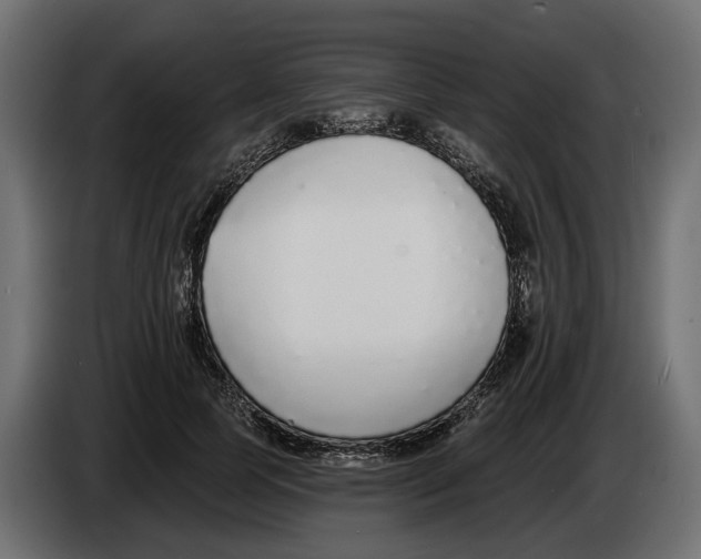 X0000083070745200703022156