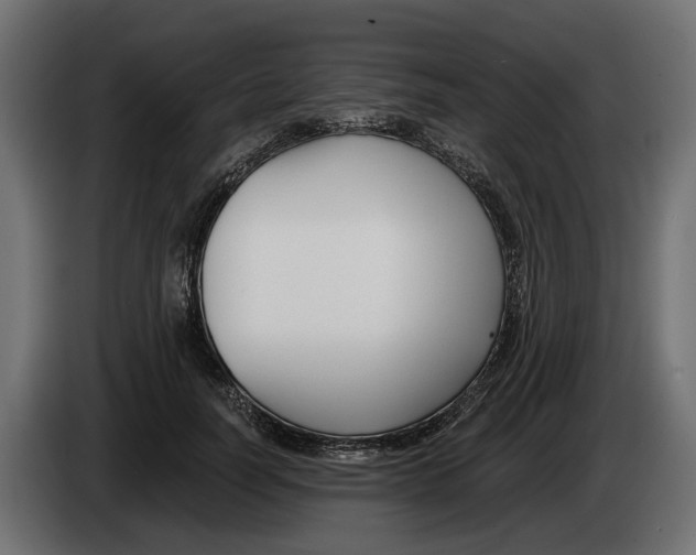 X0000083070746200703022156