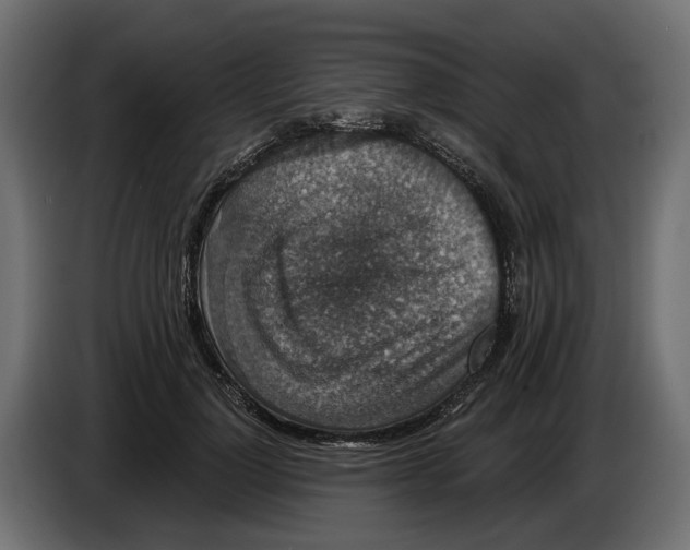 X0000083070748200703022156