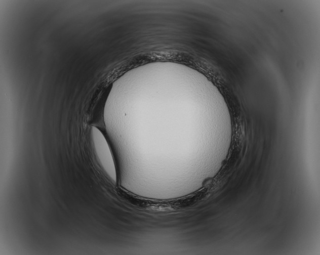 X0000083070749200703022156