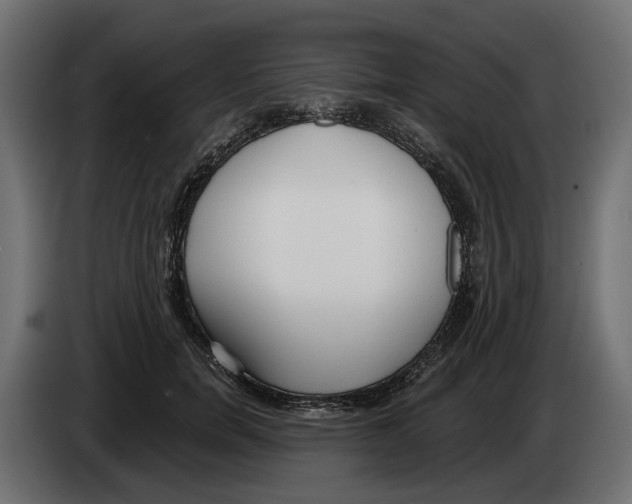 X0000083070750200703022156