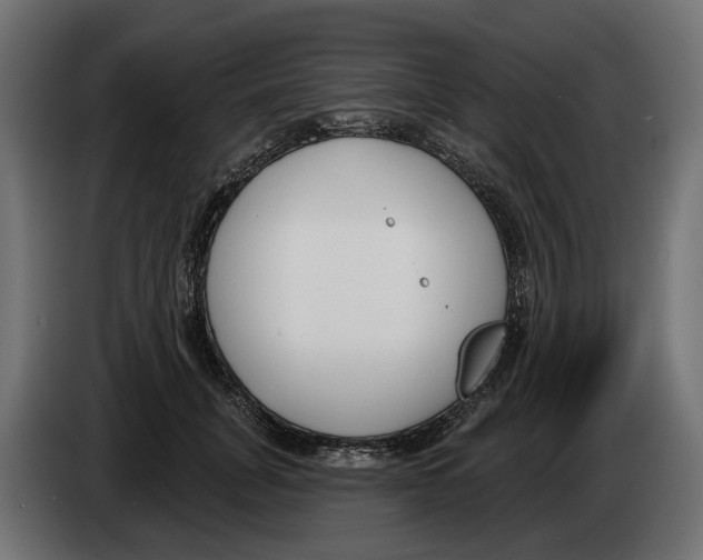 X0000083070751200703022156