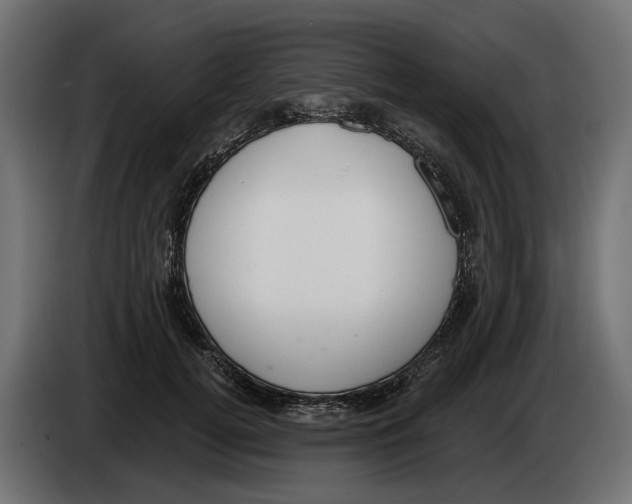 X0000083070752200703022156