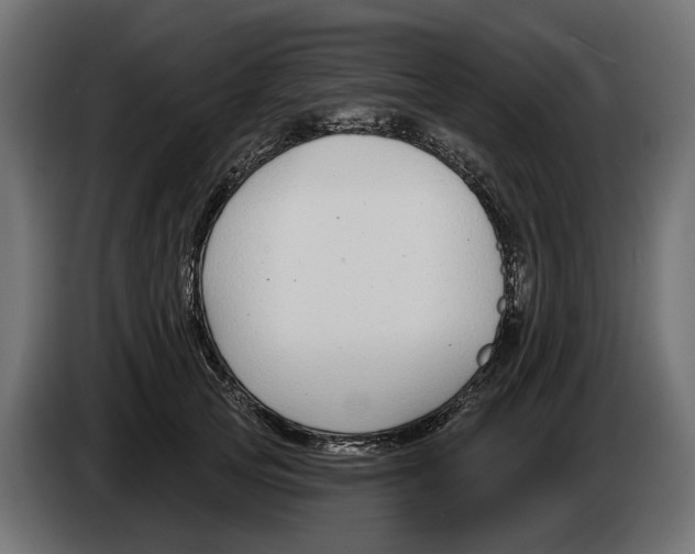 X0000083070753200703022156