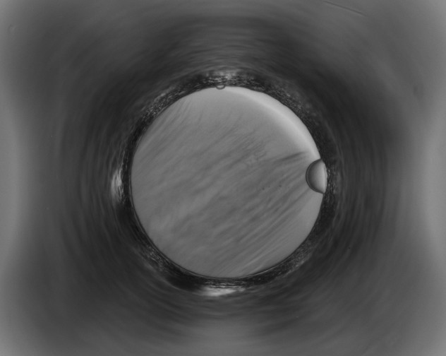 X0000083070754200703022156