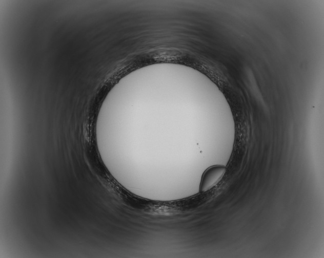 X0000083070755200703022156